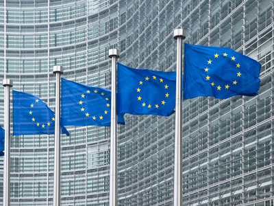 web eu-flags-front-european-commission-brussels - Credit: Ugis-Riba shutterstock -  273008201