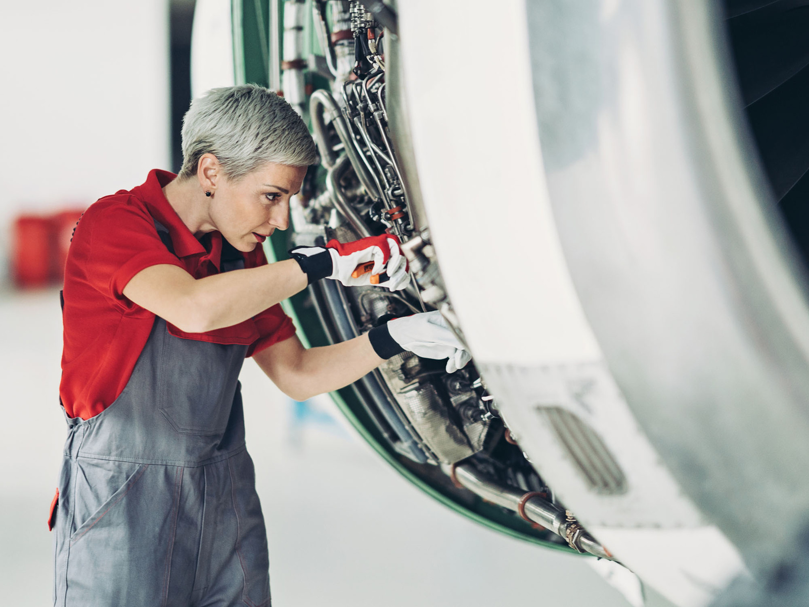 ���-���������� - ���������: iStock - 1279655915