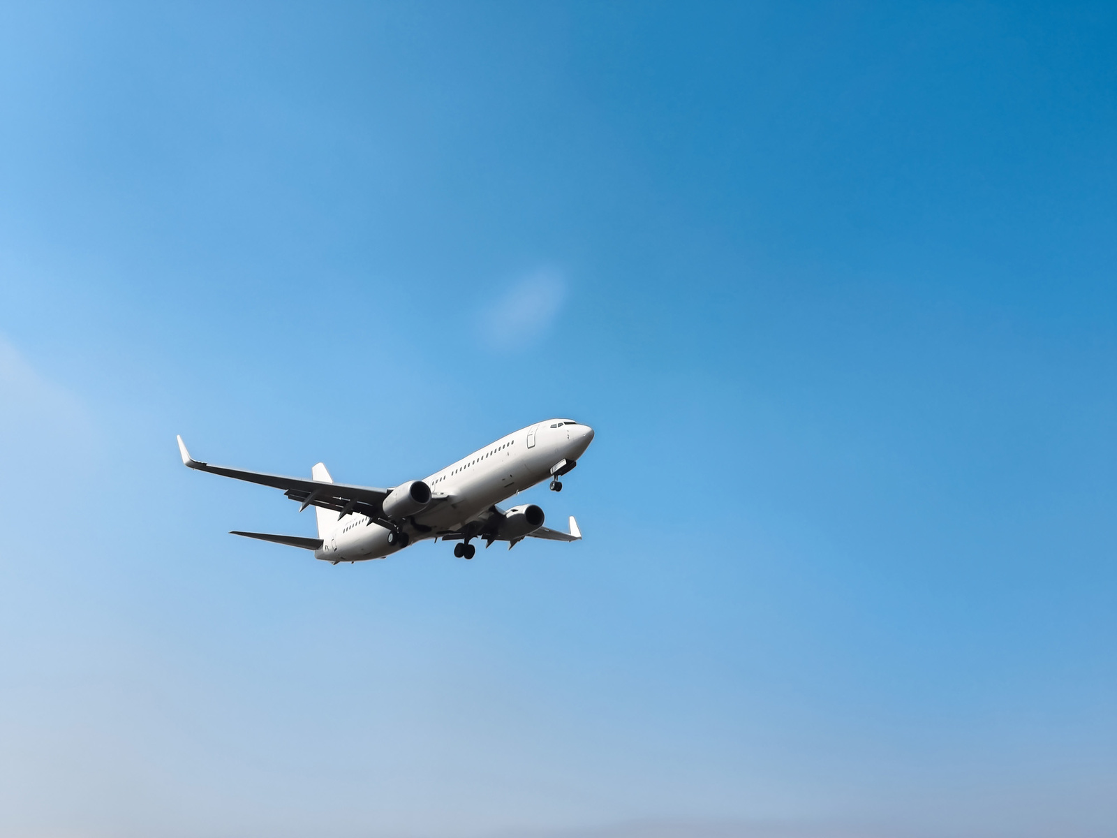 ˳��� � ��� � ����: iStock � 2260163737